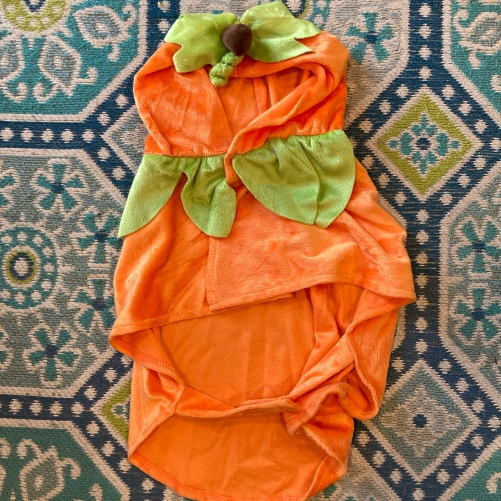 Doggie pumpkin costume from Spirt costumes size M